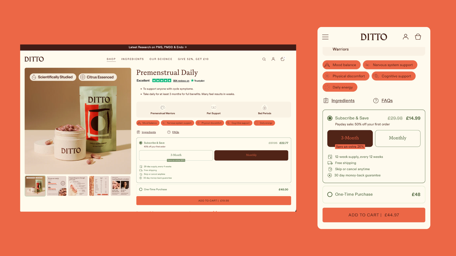 DITTO Daily Portfolio Feature 2