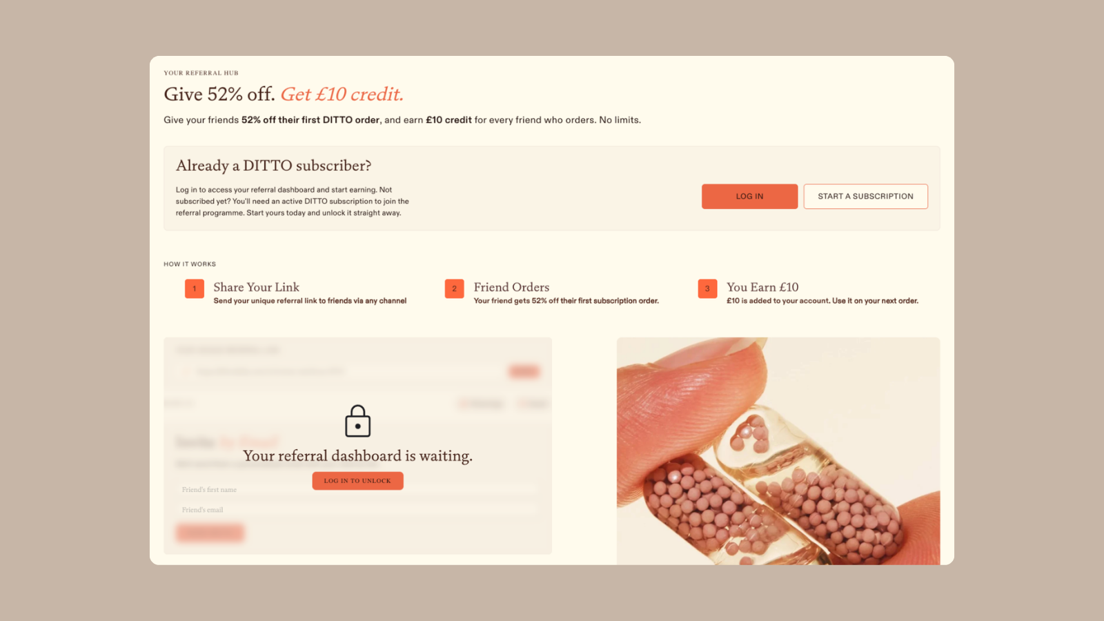 DITTO Daily Case Study Image 4