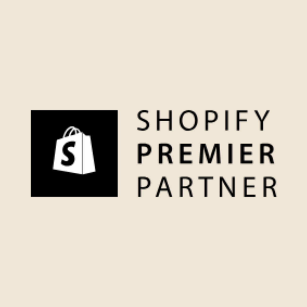 Why your Shopify site needs a CRO audit Project Visual 3